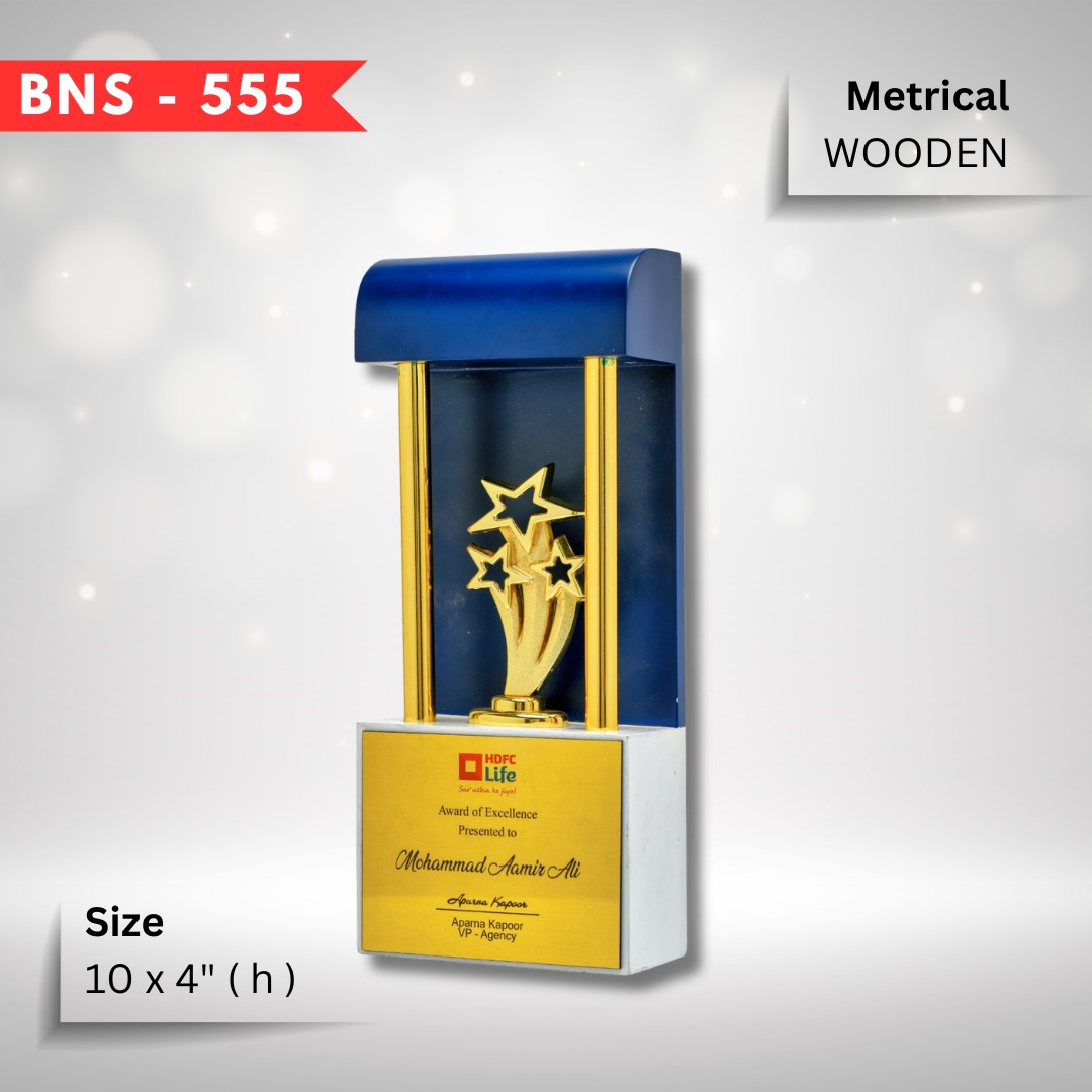 Premium Award 5